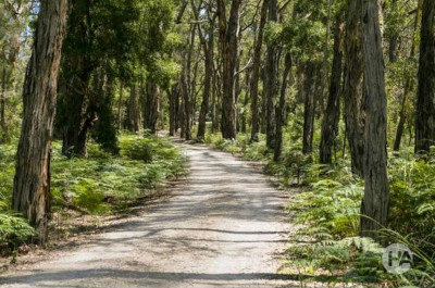 Buyers Agent Mornington Peninsula